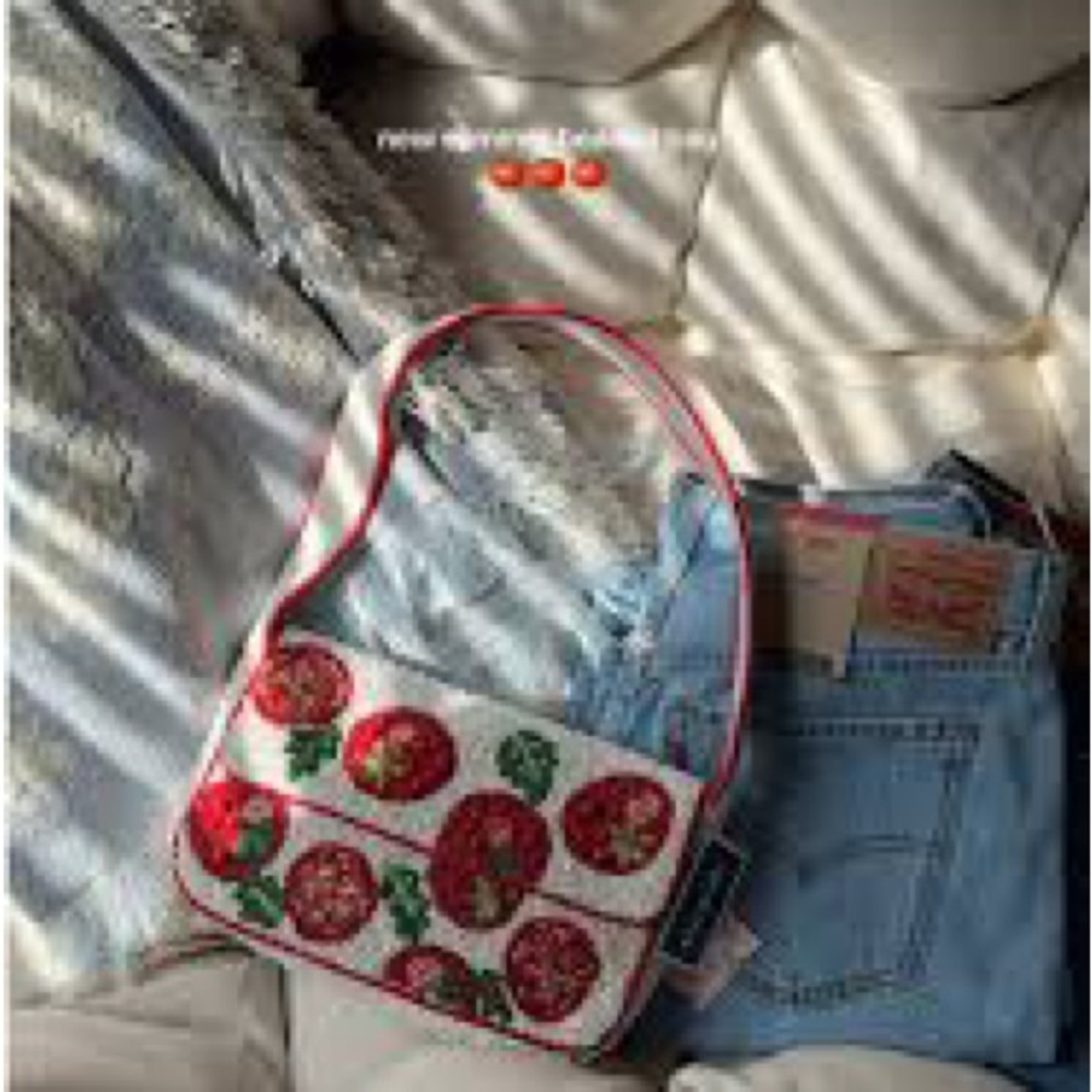 Viral Tomato Beaded Shoulder Purse